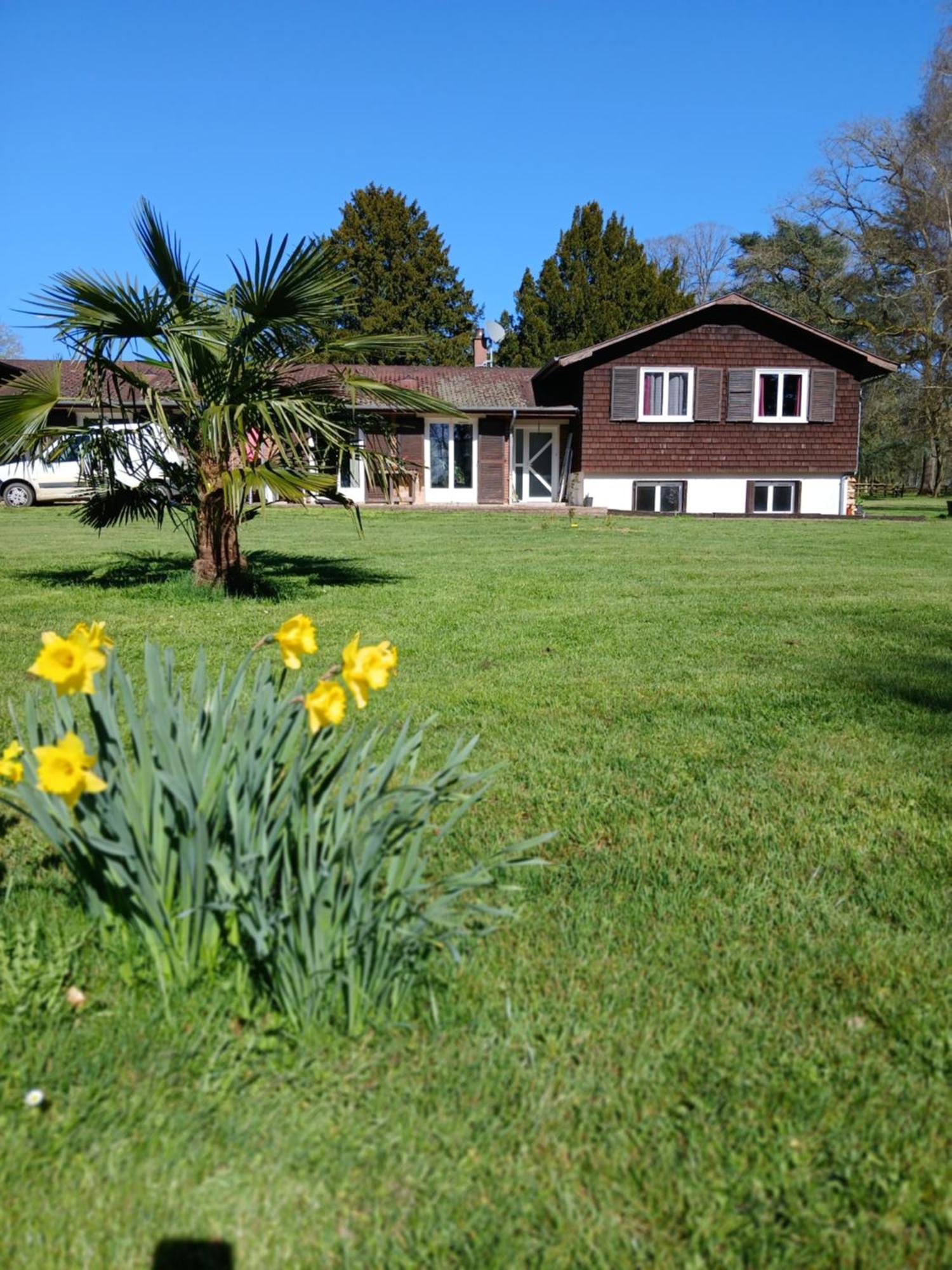 Bed and Breakfast Domaine Des Ifs à Le Pin  Extérieur photo